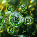 HCOOCH CH2 H2O: Properties, Structure, and Importance