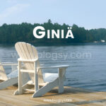 Giniä: The Mindful Movement Inspiring Creativity and Calm
