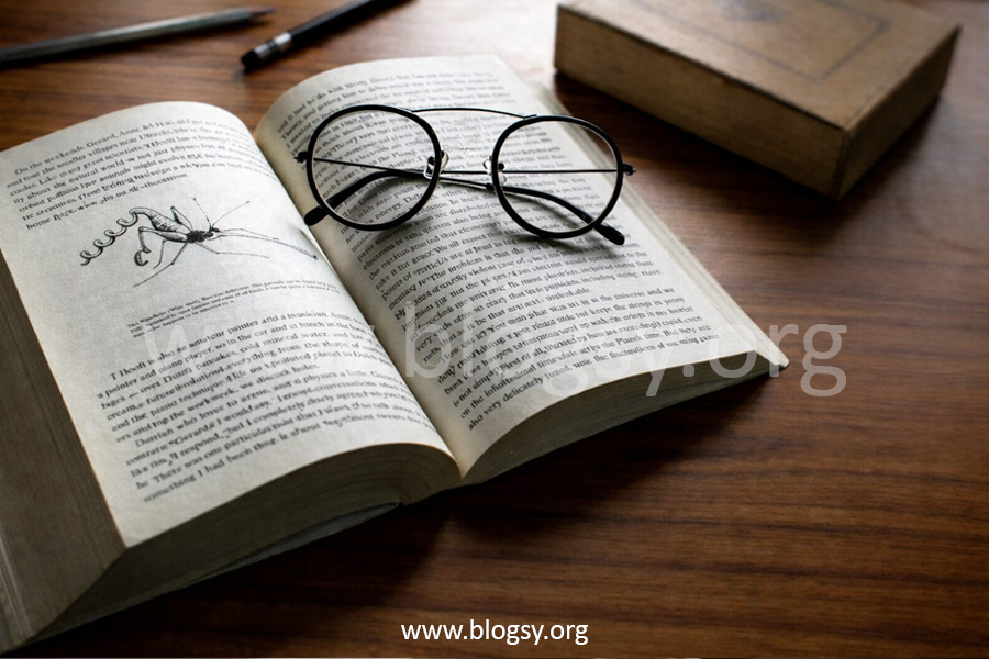 Noodlemag Explained: What Is Noodle Magazine & Why Everyone Is Talking About It?